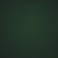 Экокожа Aries 504 тёмно-зелёная